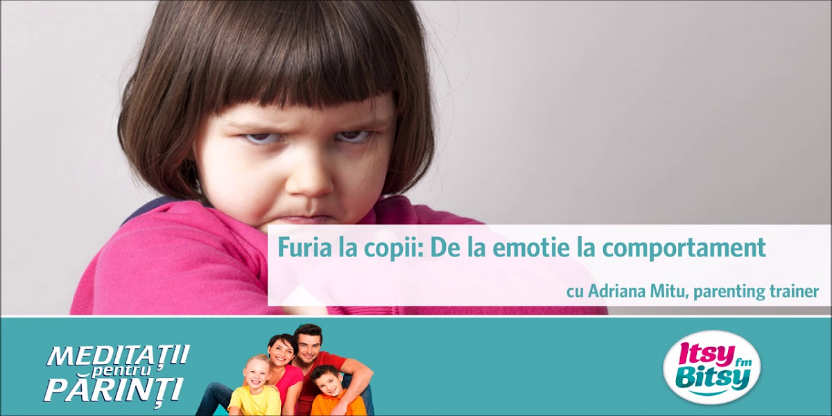 Furia la copii: De la emotie la comportament de Itsy Bitsy