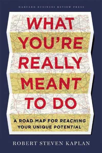 What You’re Really Meant to Do de Robert Steven Kaplan