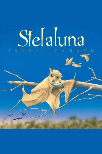 Stelaluna de Janell Cannon
