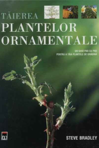 Tăierea plantelor ornamentale de Steve Bradley