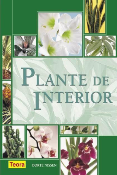 Plante de interior de Dorte Nissen