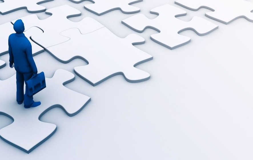 Developing the CEO Within You de Joseph L. Bower