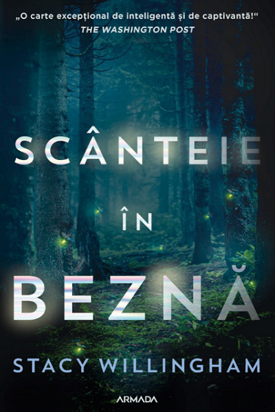 Scânteie în beznă de Stacy Willingham