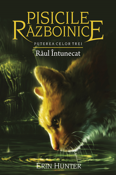 Puterea celor trei. Raul intunecat (Pisicile razboinice #14) de Erin Hunter