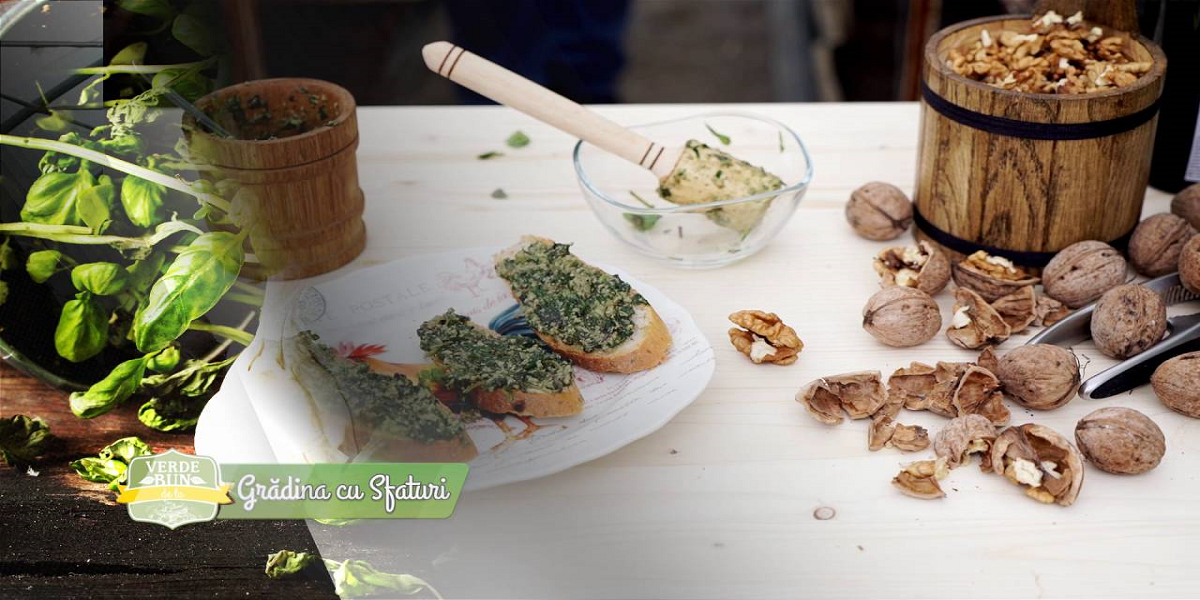 Plantarea busuiocului. Cum se face pesto de Verde Bun