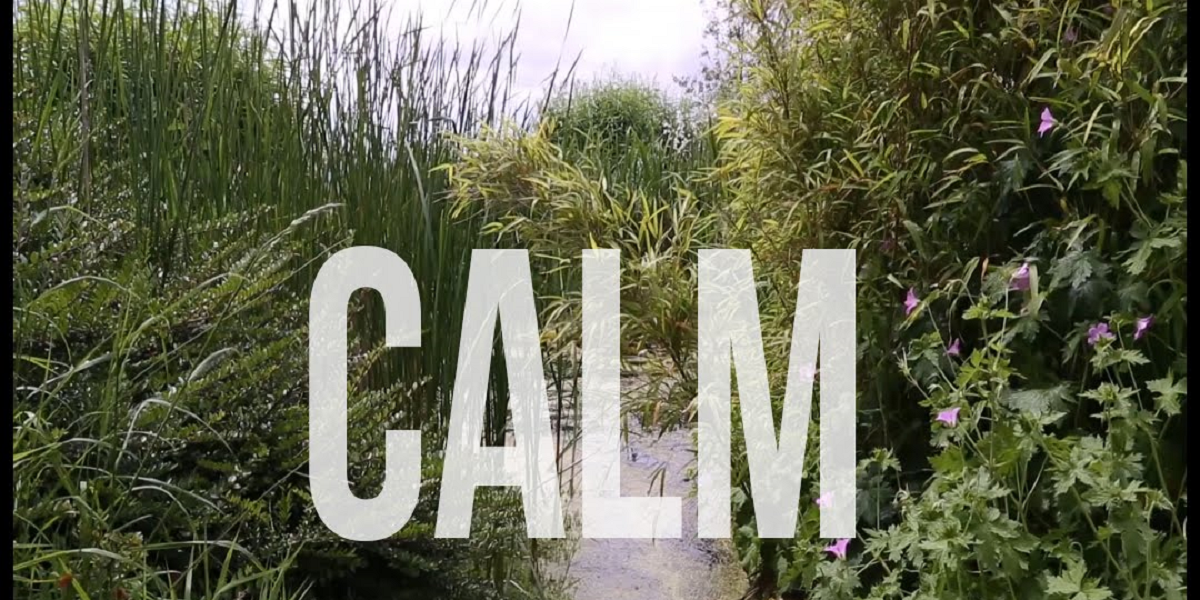 Calmul de The School of Life