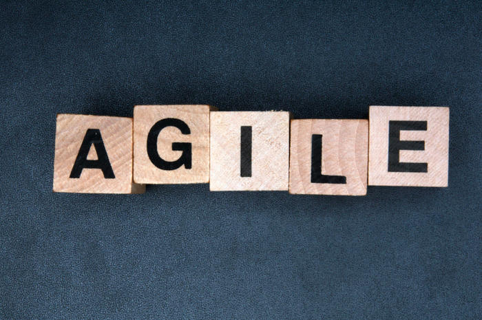 A quick introduction to agile management de HBR