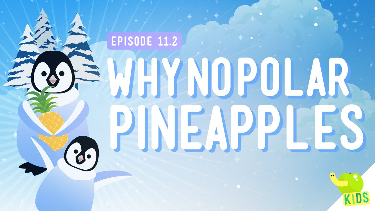 Why No Polar Pineapples de Crash Course Kids