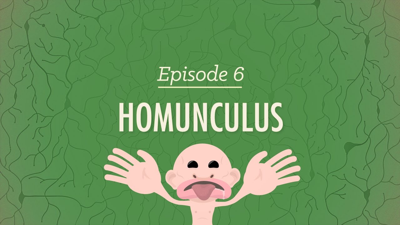 Homunculus (Psychology #6) de Crash Course