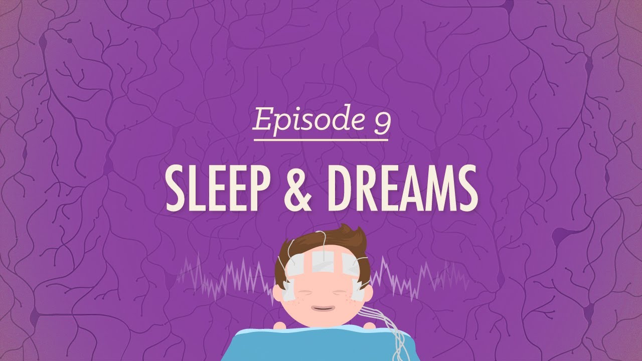 To Sleep, Perchance to Dream (Psychology #9) de Crash Course