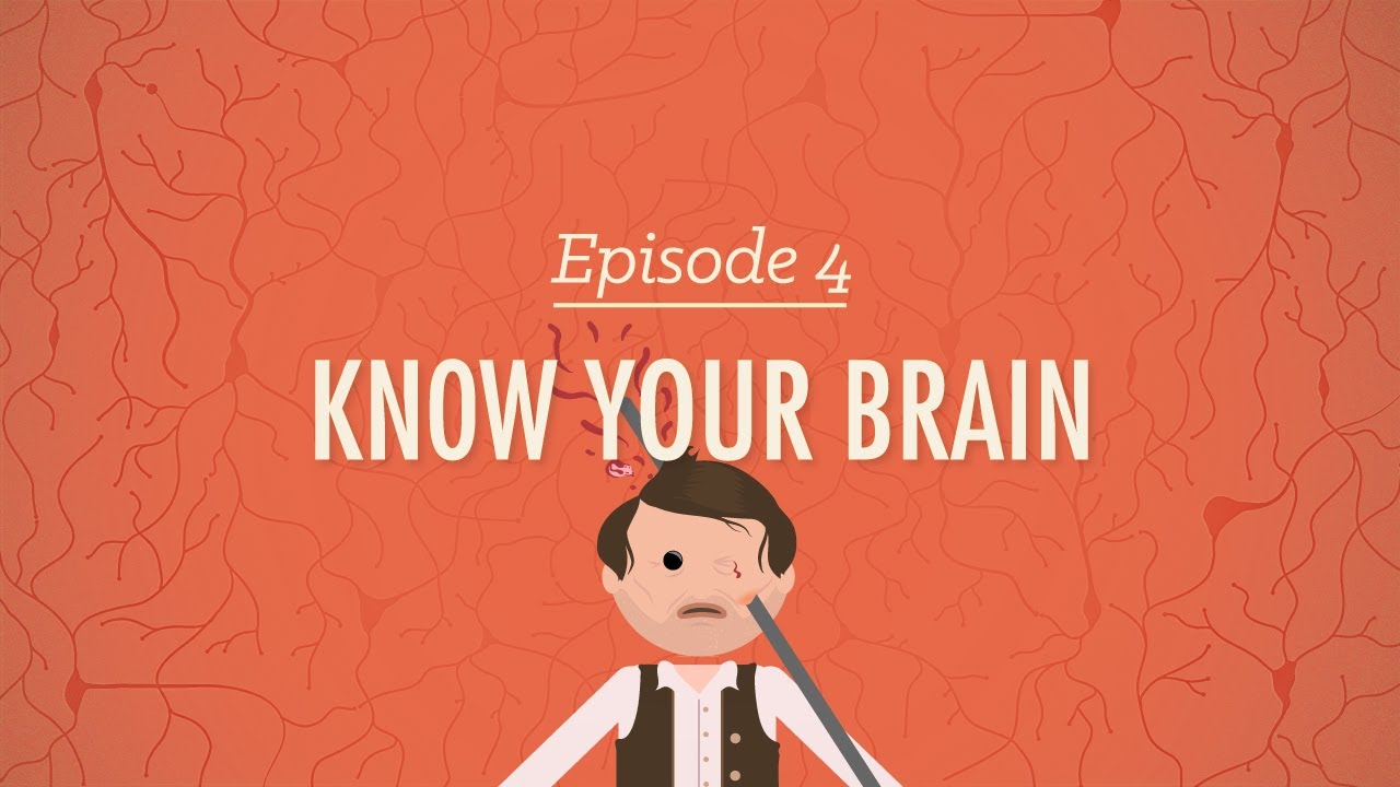 Meet Your Master: Getting to Know Your Brain (Psychology #4) de Crash Course