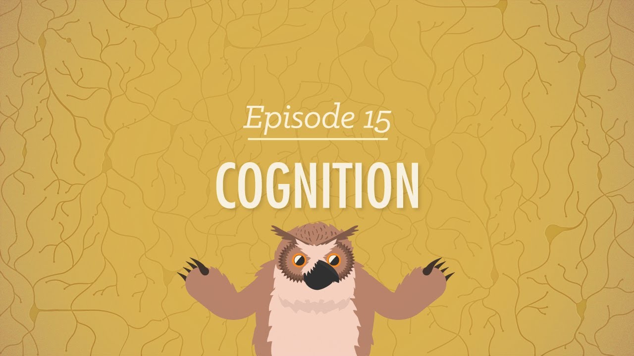 Cognition: How Your Mind Can Amaze and Betray You (Psychology #15) de Crash Course