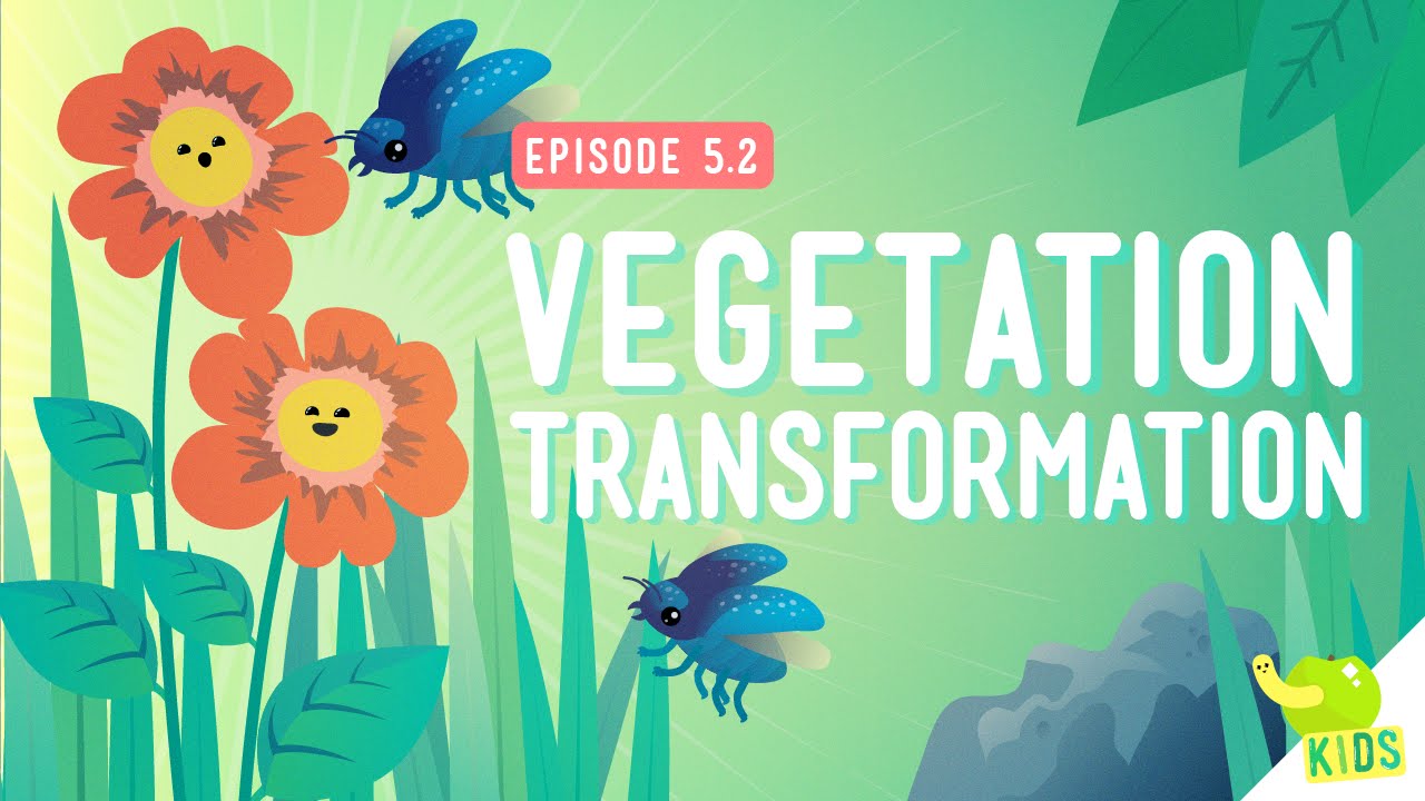 Vegetation Transformation de Crash Course Kids