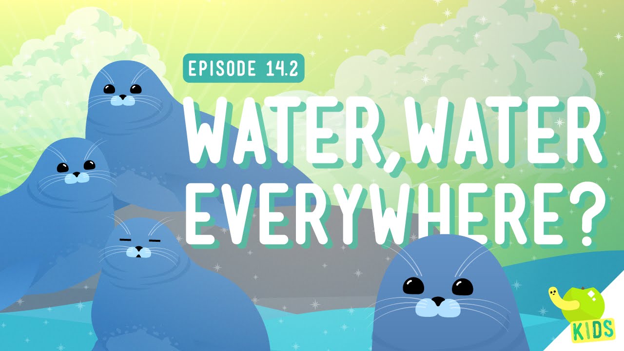 Water Water Everywhere de Crash Course Kids