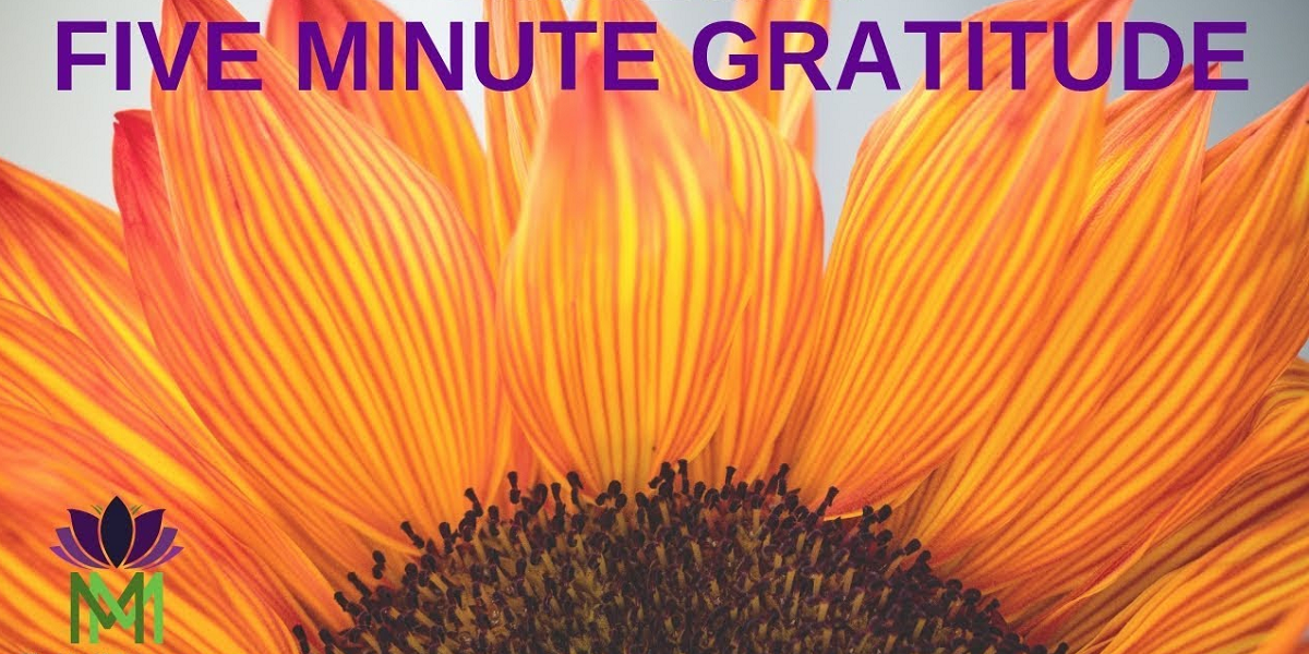5 minute guided meditation for gratitude de The Mindful Movement