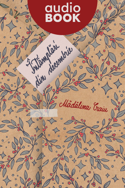 Întâmplări din decembrie de Booksprint