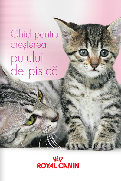 Ghid pentru creșterea puiului de pisică de Royal Canin